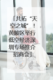 共拓“天空之城”！黄陂区举行低空经济深圳专场推介招商会