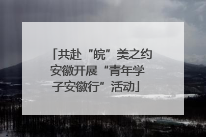 共赴“皖”美之约 安徽开展“青年学子安徽行”活动