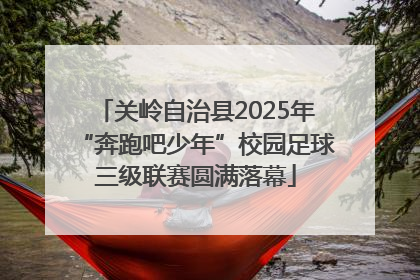 关岭自治县2025年“奔跑吧少年”校园足球三级联赛圆满落幕