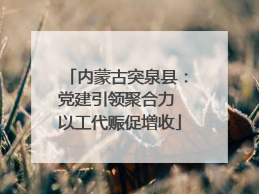 内蒙古突泉县：党建引领聚合力 以工代赈促增收