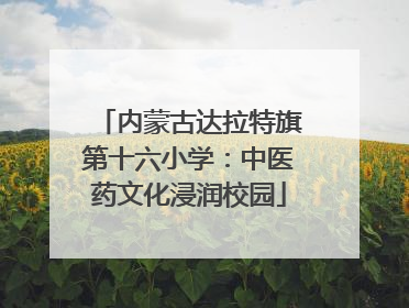 内蒙古达拉特旗第十六小学：中医药文化浸润校园