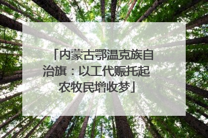 内蒙古鄂温克族自治旗：以工代赈托起农牧民增收梦