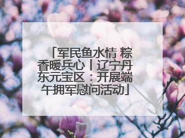 军民鱼水情 粽香暖兵心丨辽宁丹东元宝区：开展端午拥军慰问活动