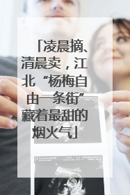 凌晨摘、清晨卖，江北“杨梅自由一条街”藏着最甜的烟火气