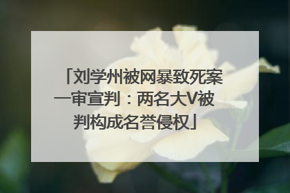 刘学州被网暴致死案一审宣判：两名大V被判构成名誉侵权
