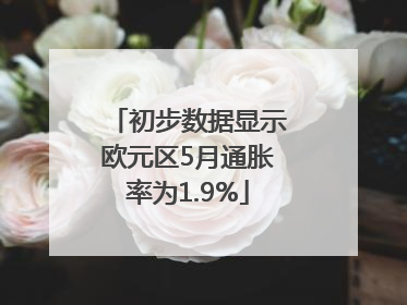 初步数据显示欧元区5月通胀率为1.9%
