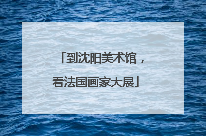 到沈阳美术馆，看法国画家大展