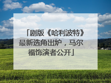 剧版《哈利波特》最新选角出炉，马尔福饰演者公开