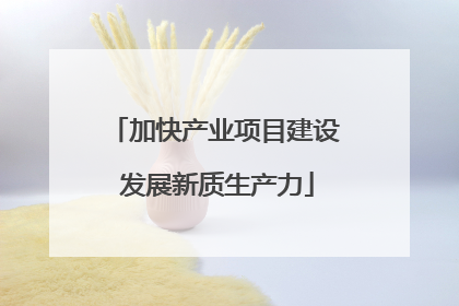 加快产业项目建设 发展新质生产力
