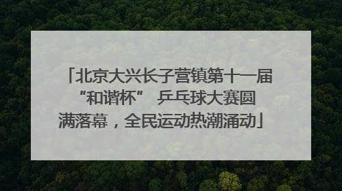北京大兴长子营镇第十一届 “和谐杯” 乒乓球大赛圆满落幕，全民运动热潮涌动