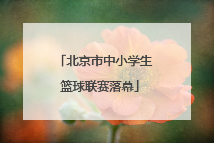 北京市中小学生篮球联赛落幕