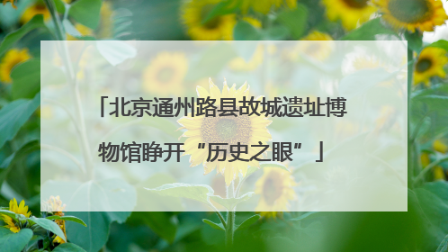 北京通州路县故城遗址博物馆睁开“历史之眼”
