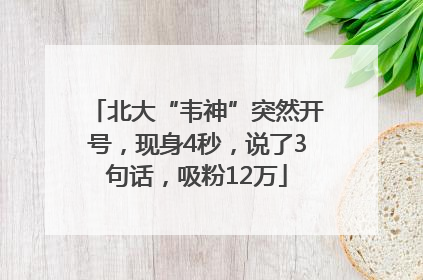 北大“韦神”突然开号，现身4秒，说了3句话，吸粉12万