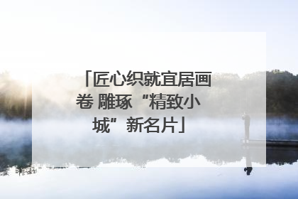 匠心织就宜居画卷 雕琢“精致小城”新名片