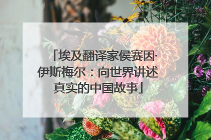 埃及翻译家侯赛因·伊斯梅尔：向世界讲述真实的中国故事
