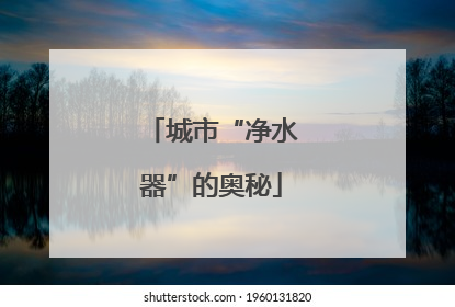 城市“净水器”的奥秘