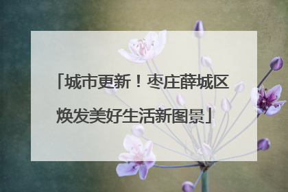 城市更新！枣庄薛城区焕发美好生活新图景