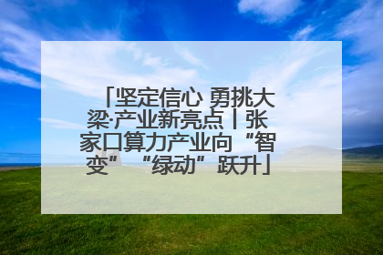 坚定信心 勇挑大梁·产业新亮点丨张家口算力产业向“智变”“绿动”跃升