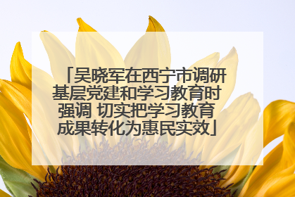 吴晓军在西宁市调研基层党建和学习教育时强调 切实把学习教育成果转化为惠民实效