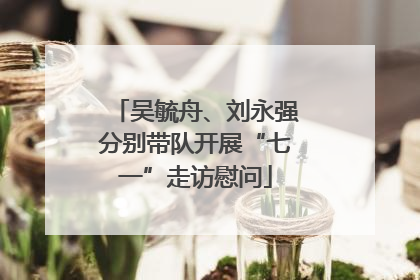 吴毓舟、刘永强分别带队开展“七一”走访慰问