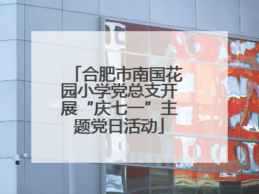 合肥市南国花园小学党总支开展“庆七一”主题党日活动