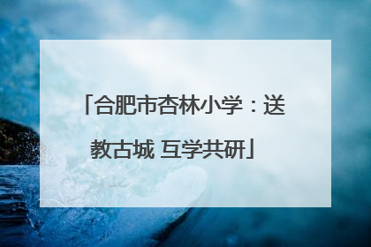 合肥市杏林小学：送教古城 互学共研