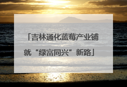 吉林通化蓝莓产业铺就“绿富同兴”新路