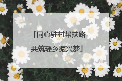 同心驻村帮扶路 共筑瑶乡振兴梦