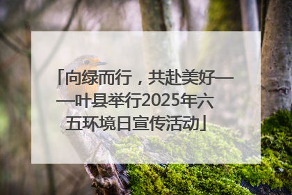 向绿而行，共赴美好——叶县举行2025年六五环境日宣传活动