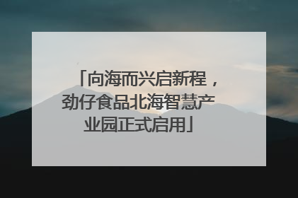 向海而兴启新程，劲仔食品北海智慧产业园正式启用