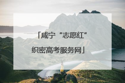 咸宁“志愿红”织密高考服务网