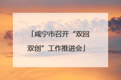 咸宁市召开“双回双创”工作推进会
