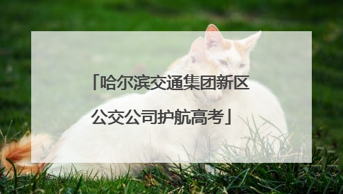 哈尔滨交通集团新区公交公司护航高考