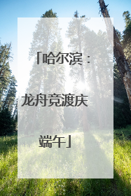 哈尔滨：龙舟竞渡庆端午