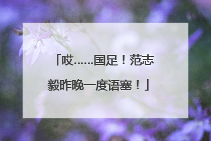 哎……国足！范志毅昨晚一度语塞！
