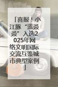 喜报！小江豚“蓝叒叒”入选2025年网络文明国际交流互鉴城市典型案例