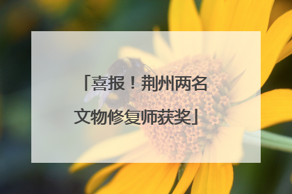 喜报！荆州两名文物修复师获奖