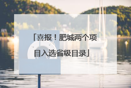 喜报！肥城两个项目入选省级目录