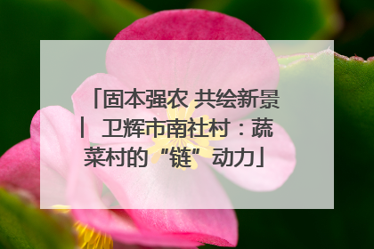 固本强农 共绘新景 ︳卫辉市南社村：蔬菜村的“链”动力