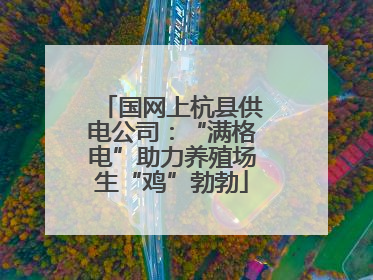国网上杭县供电公司：“满格电”助力养殖场生“鸡”勃勃