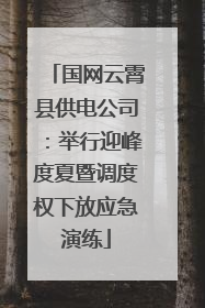国网云霄县供电公司：举行迎峰度夏暨调度权下放应急演练