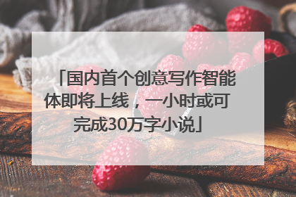 国内首个创意写作智能体即将上线，一小时或可完成30万字小说
