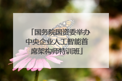 国务院国资委举办中央企业人工智能首席架构师特训班