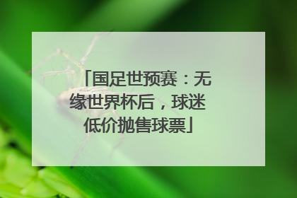 国足世预赛：无缘世界杯后，球迷低价抛售球票