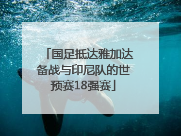 国足抵达雅加达备战与印尼队的世预赛18强赛