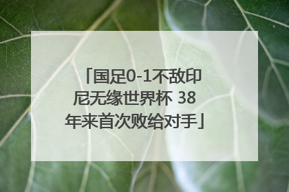 国足0-1不敌印尼无缘世界杯 38年来首次败给对手