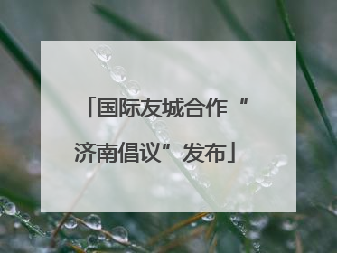 国际友城合作“济南倡议”发布