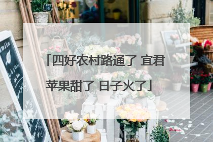 四好农村路通了 宜君苹果甜了 日子火了