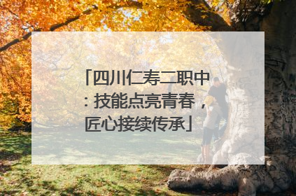 四川仁寿二职中：技能点亮青春，匠心接续传承