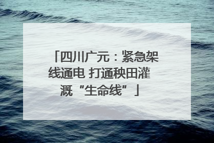 四川广元：紧急架线通电 打通秧田灌溉“生命线”